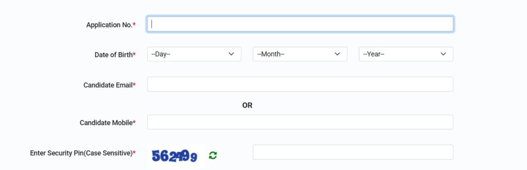 CUET UG Application Form 2025